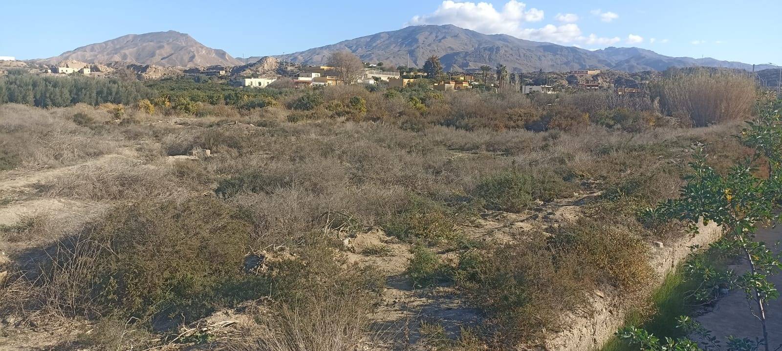 Fincas y solares-Venta-GÃ¡dor-1520821-Foto-8