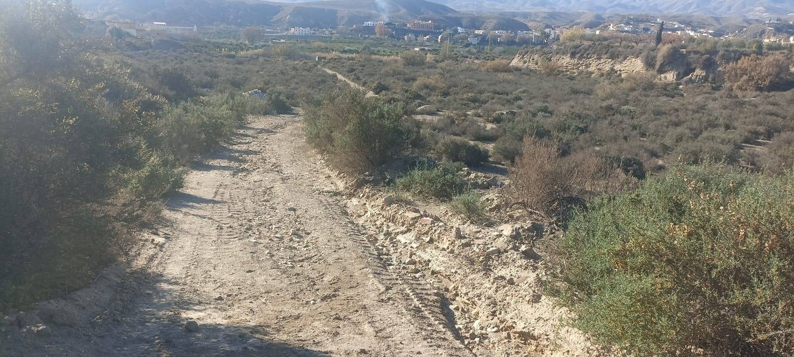 Fincas y solares-Venta-GÃ¡dor-1520815-Foto-4