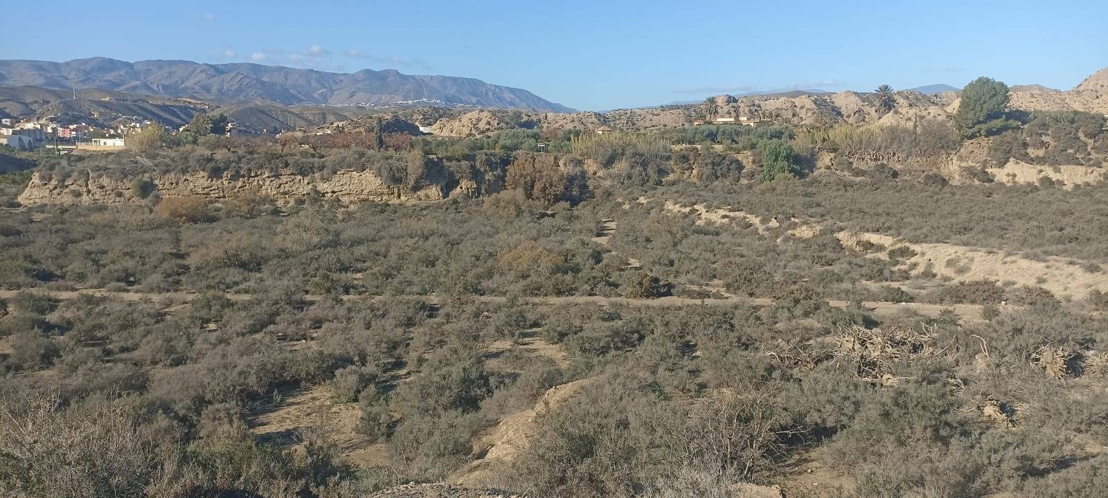 Fincas y solares-Venta-GÃ¡dor-1520815-Foto-8