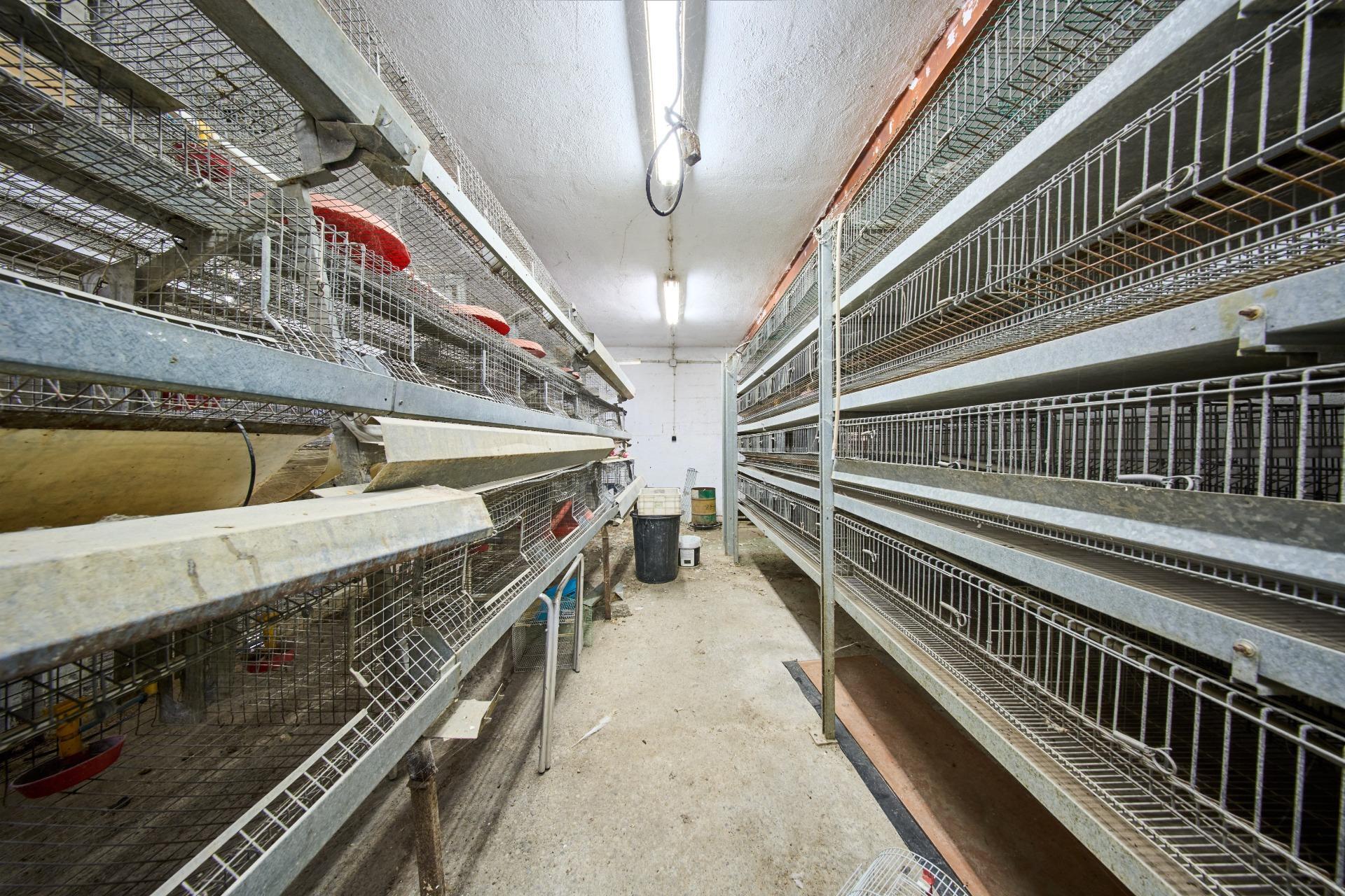 Naves-Venta-Atarfe-1905059-Foto-20