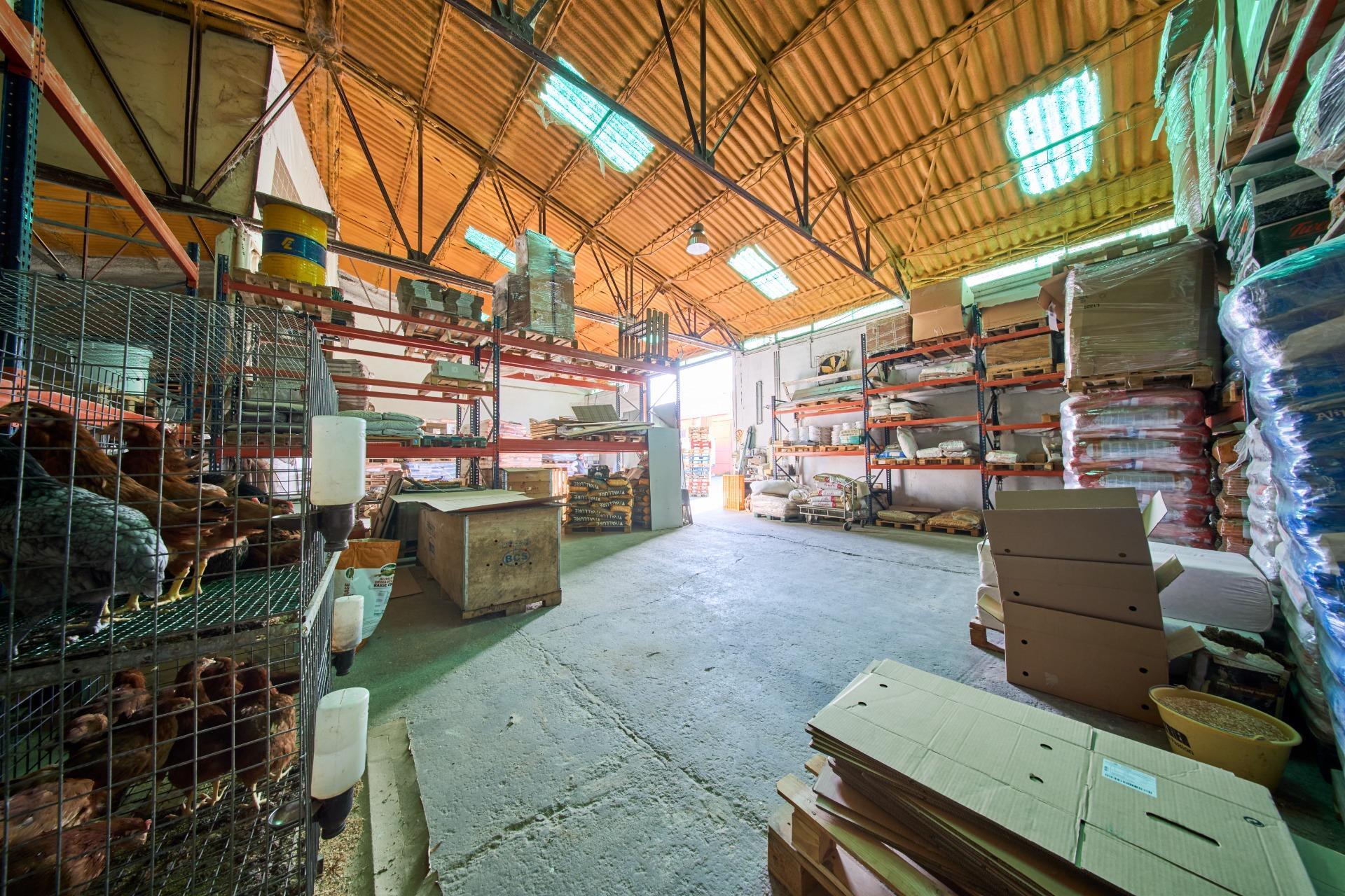 Naves-Venta-Atarfe-1905059-Foto-28