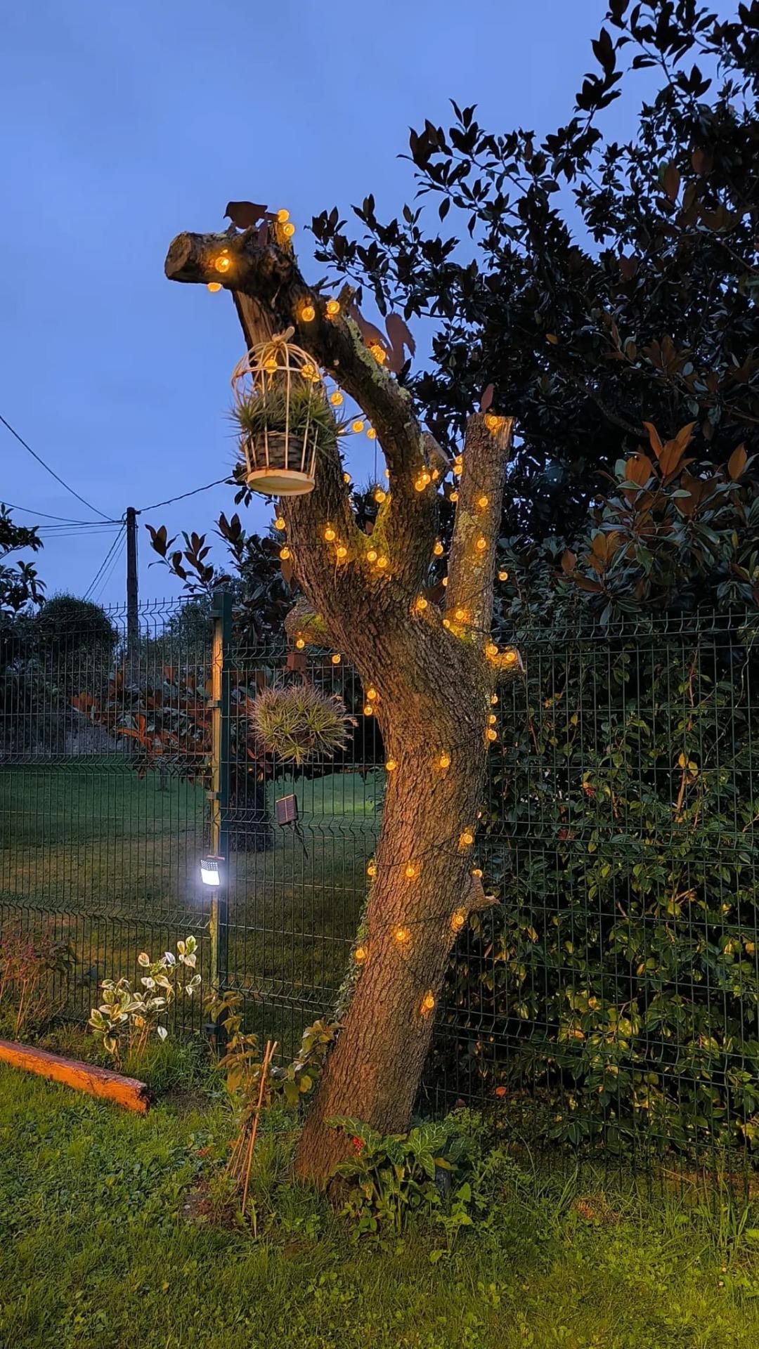 Casas o chalets-Venta-Castañeda-1842747-Foto-69