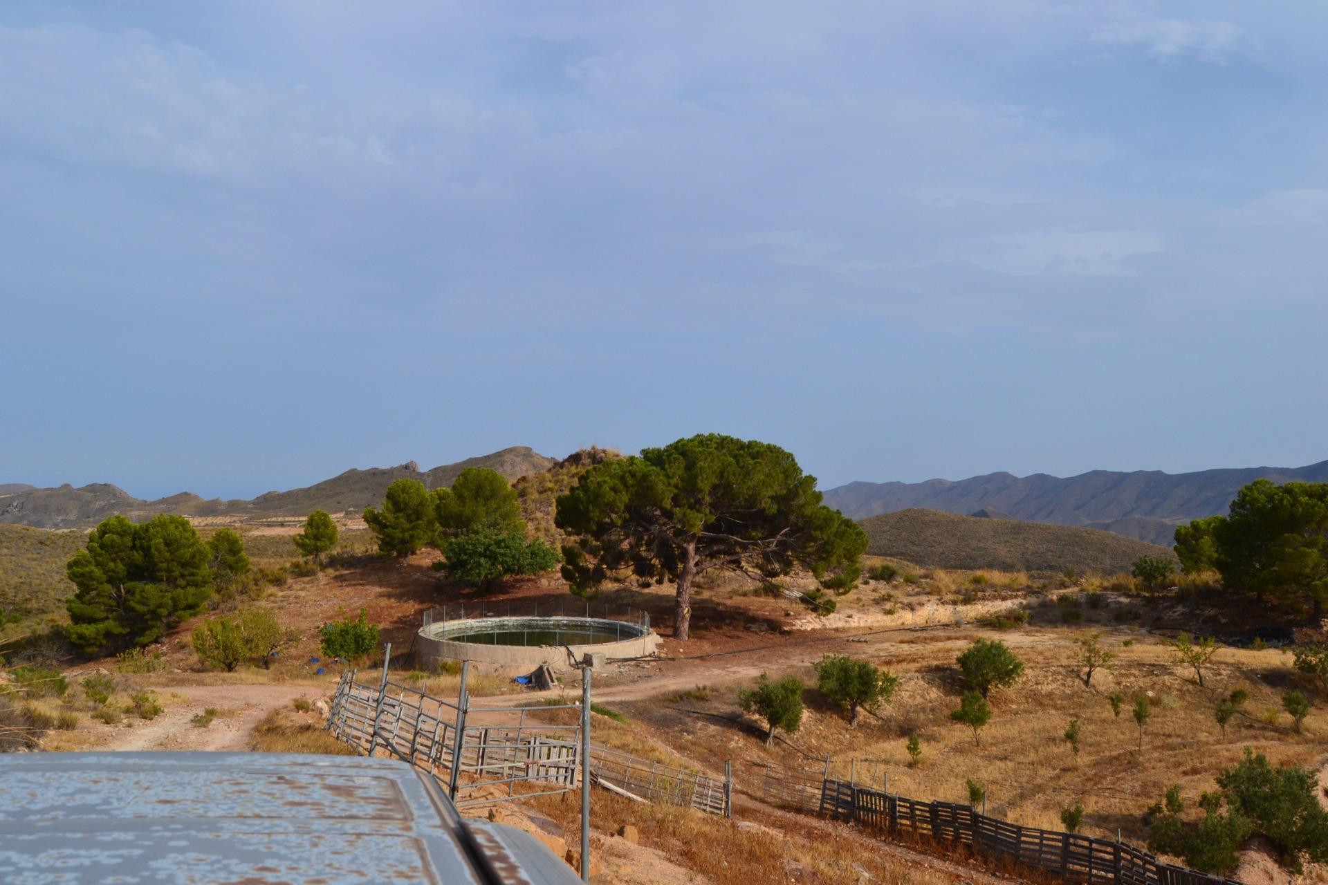 Fincas y solares-Venta-Lorca-1884319-Foto-5