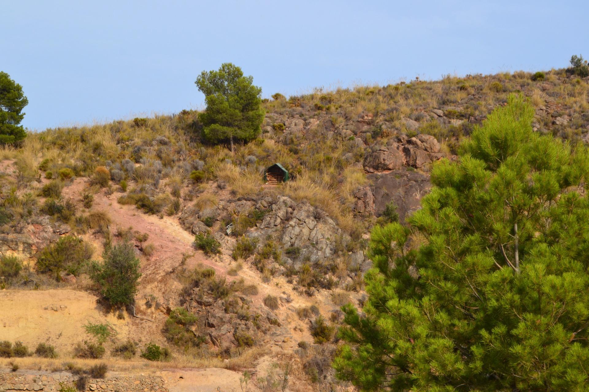 Fincas y solares-Venta-Lorca-1884319-Foto-8