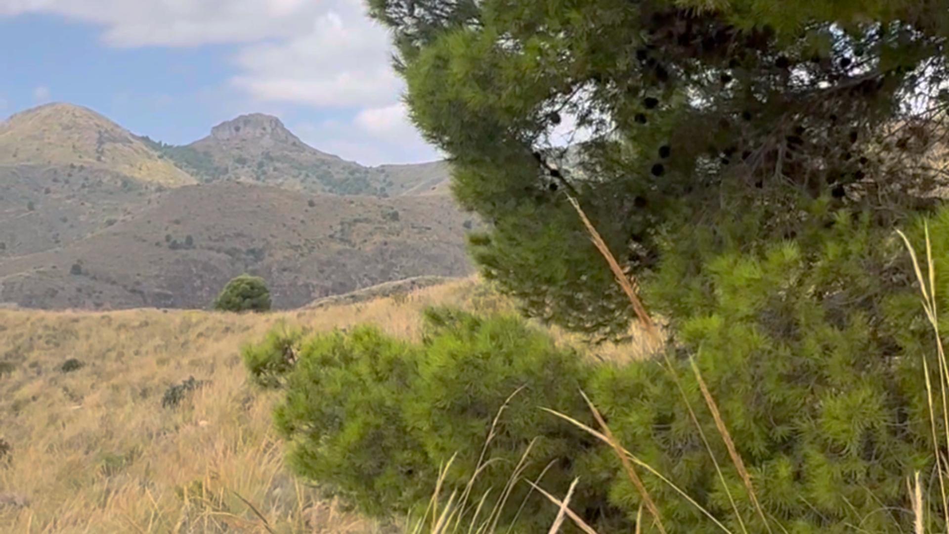 Fincas y solares-Venta-Lorca-1884319-Foto-15