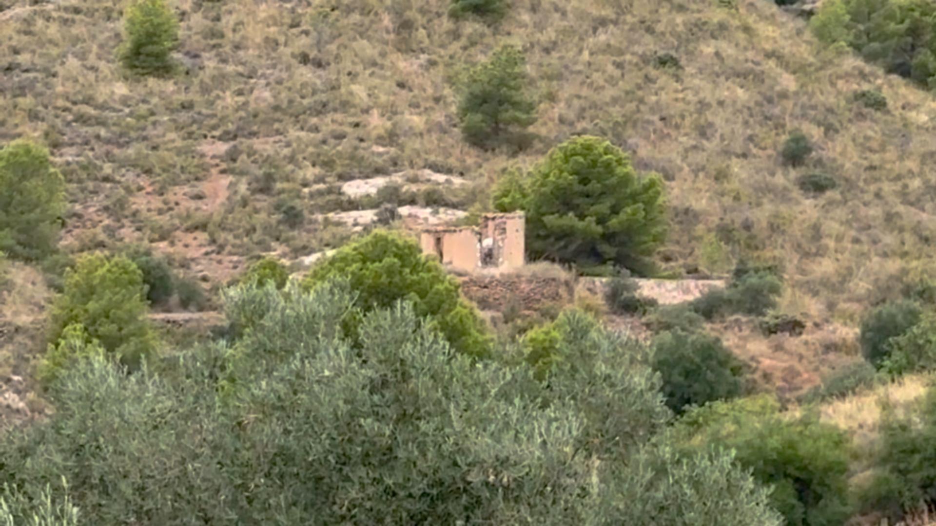 Fincas y solares-Venta-Lorca-1884319-Foto-17