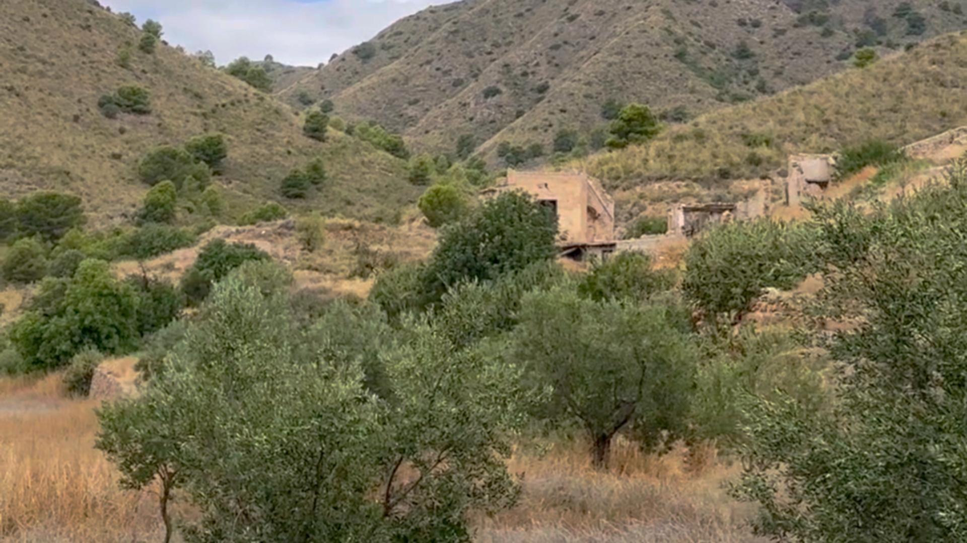 Fincas y solares-Venta-Lorca-1884319-Foto-22