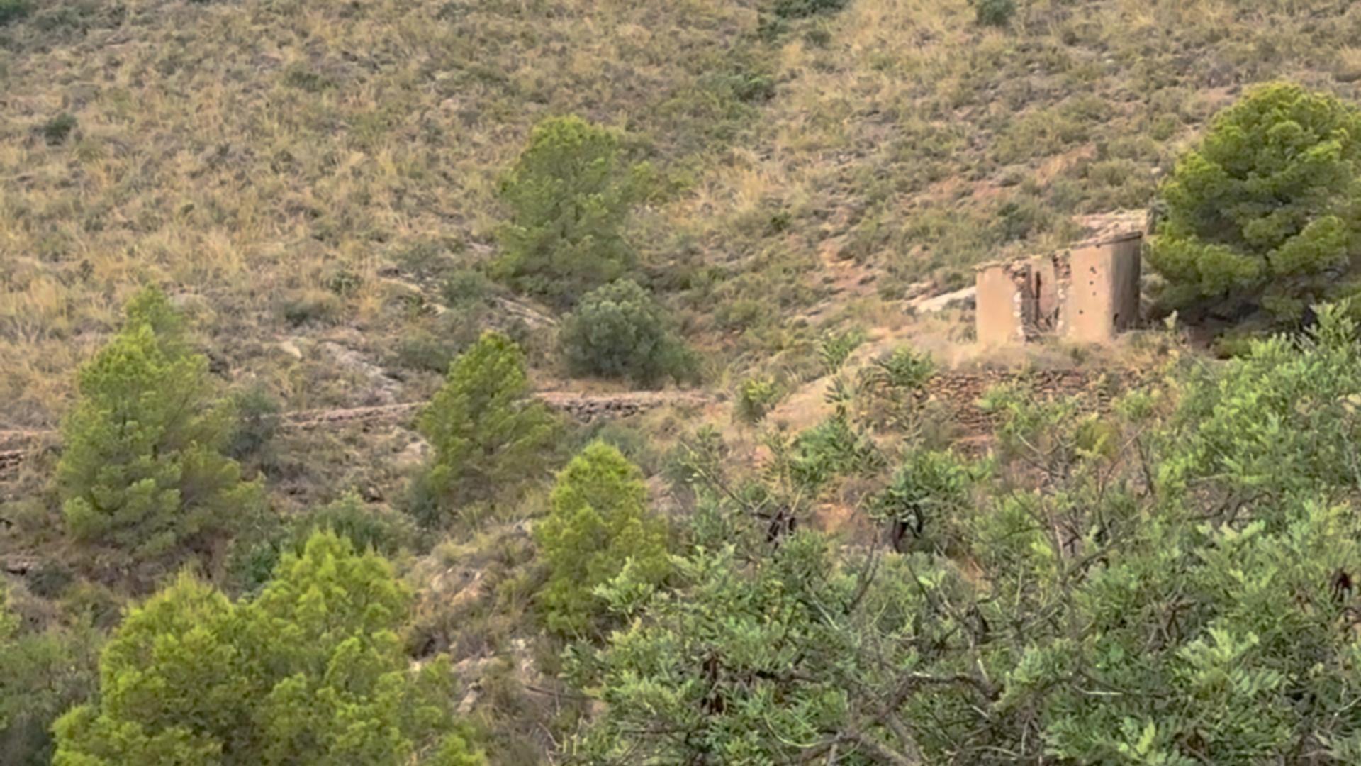 Fincas y solares-Venta-Lorca-1884319-Foto-30