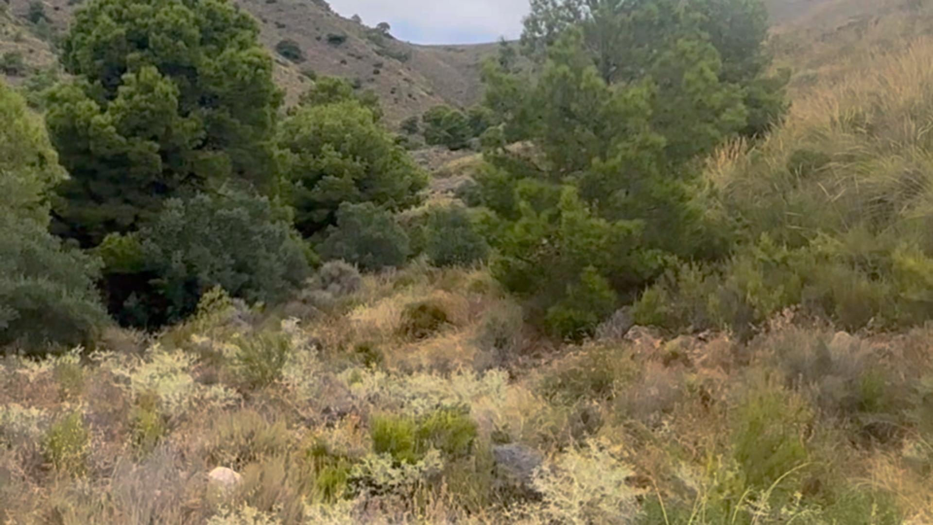 Fincas y solares-Venta-Lorca-1884319-Foto-34