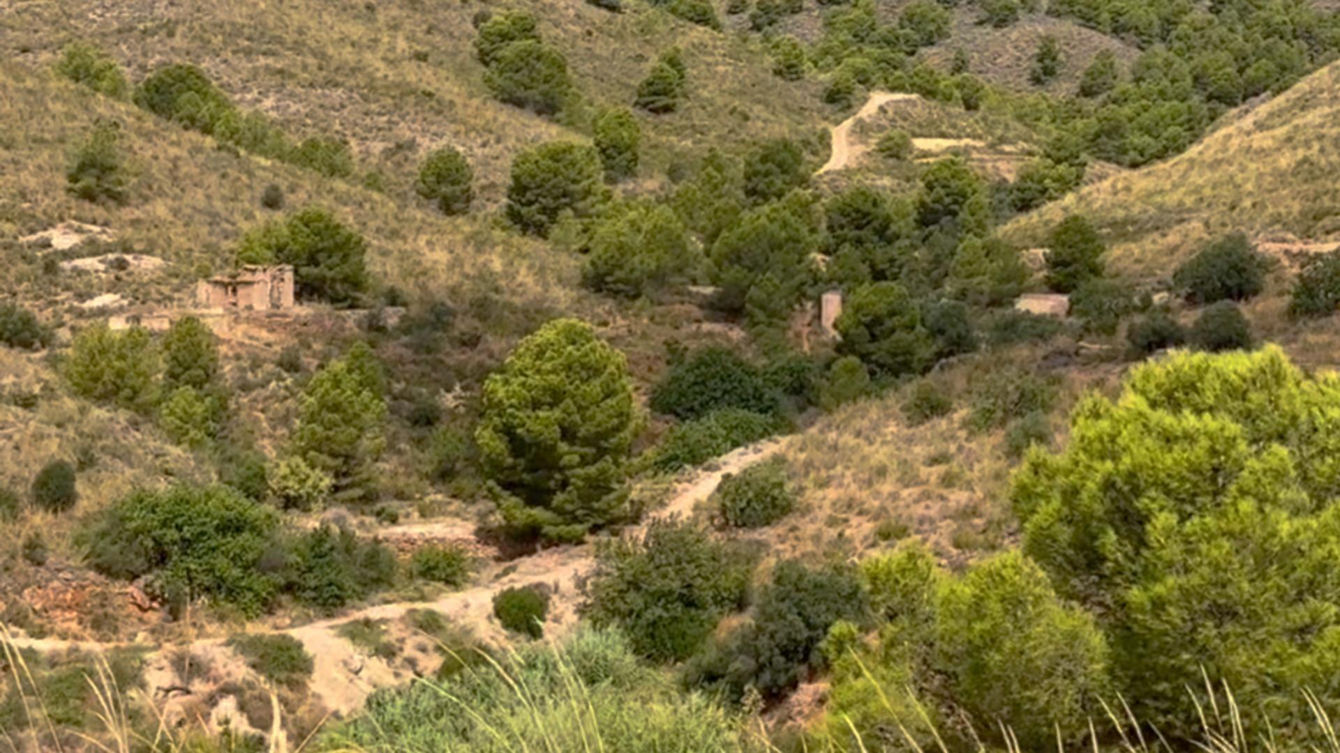 Fincas y solares-Venta-Lorca-1884319-Foto-47