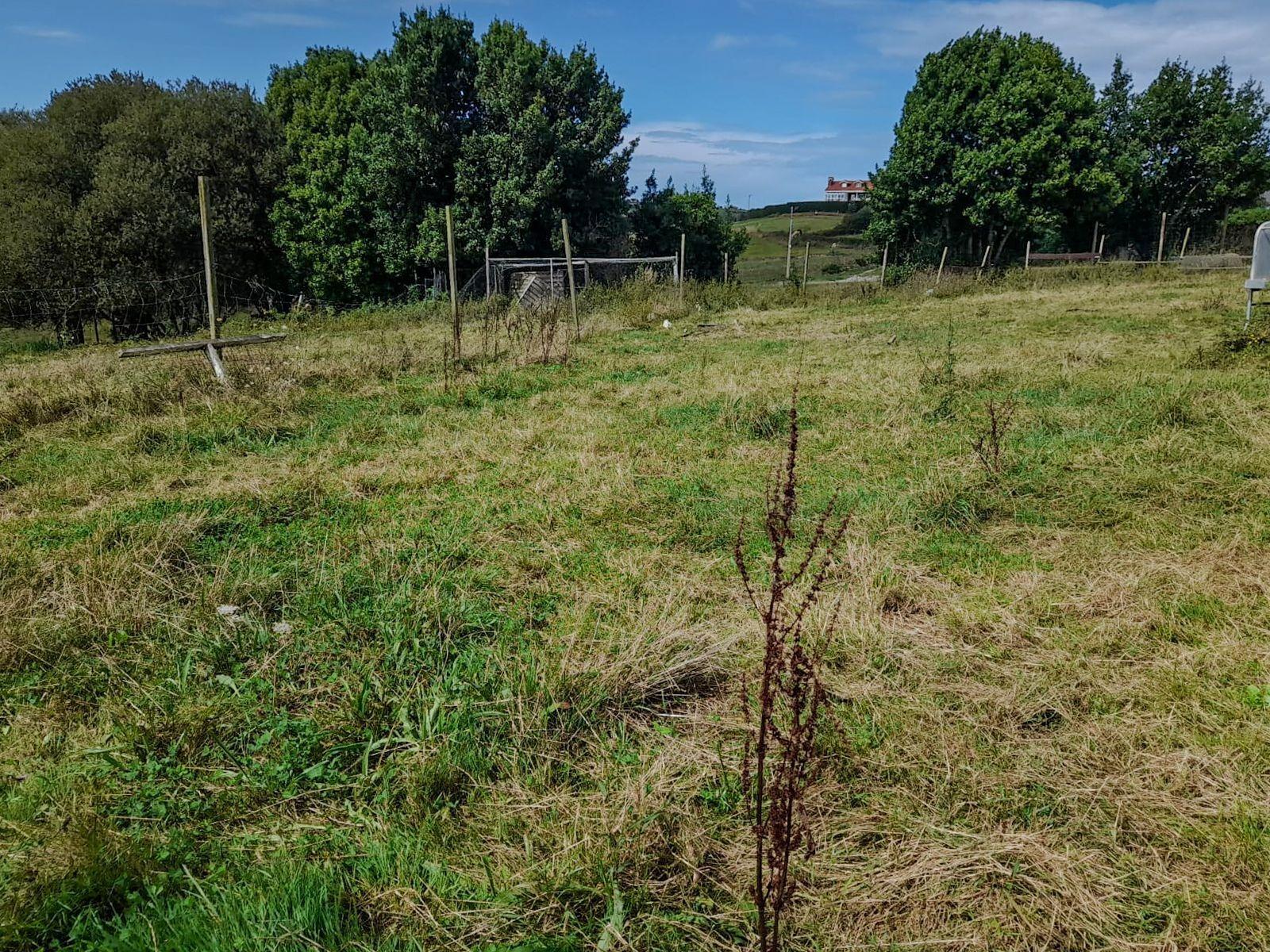 Fincas y solares-Venta-Miengo-1884823-Foto-8