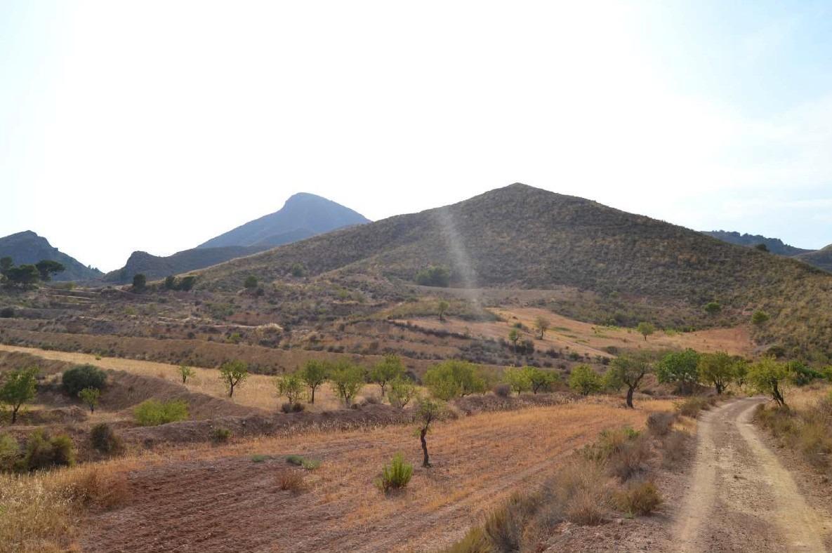 Pisos-Venta-Lorca-1886625-Foto-61