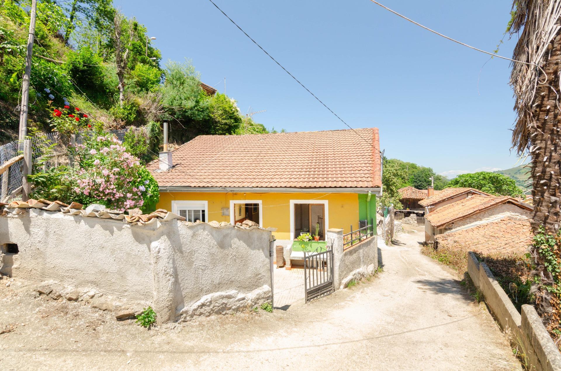 Casas o chalets-Venta-Villena-1790784-Foto-24