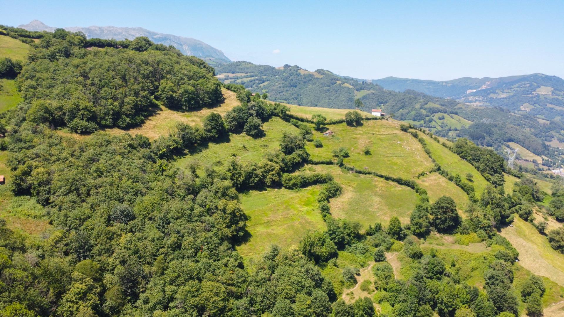 Casas o chalets-Venta-Villena-1790784-Foto-31