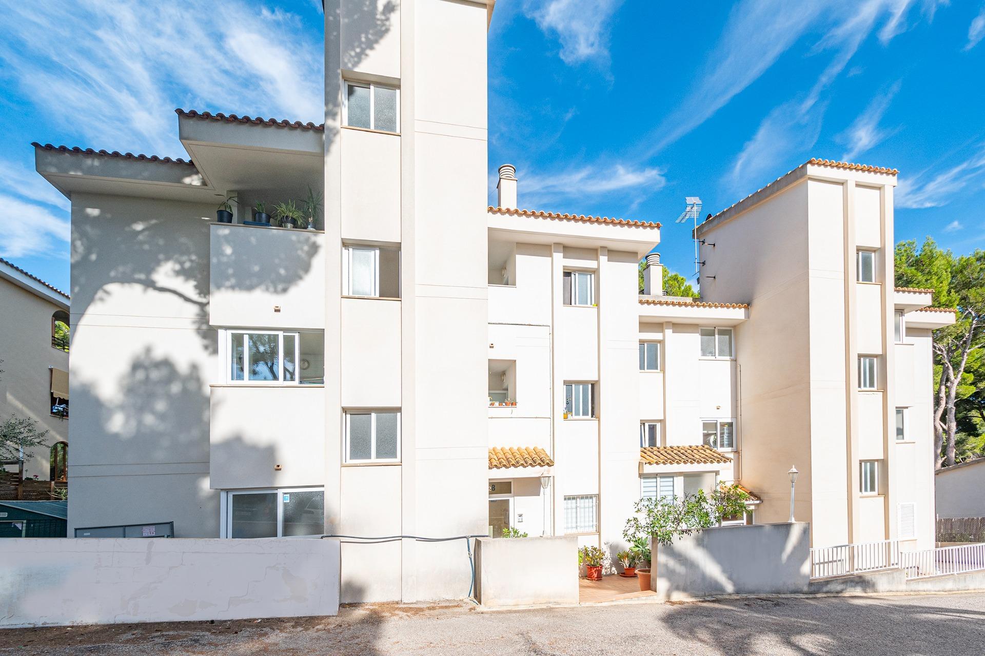 Pisos-Venta-CalviÃ -1994370-Foto-20