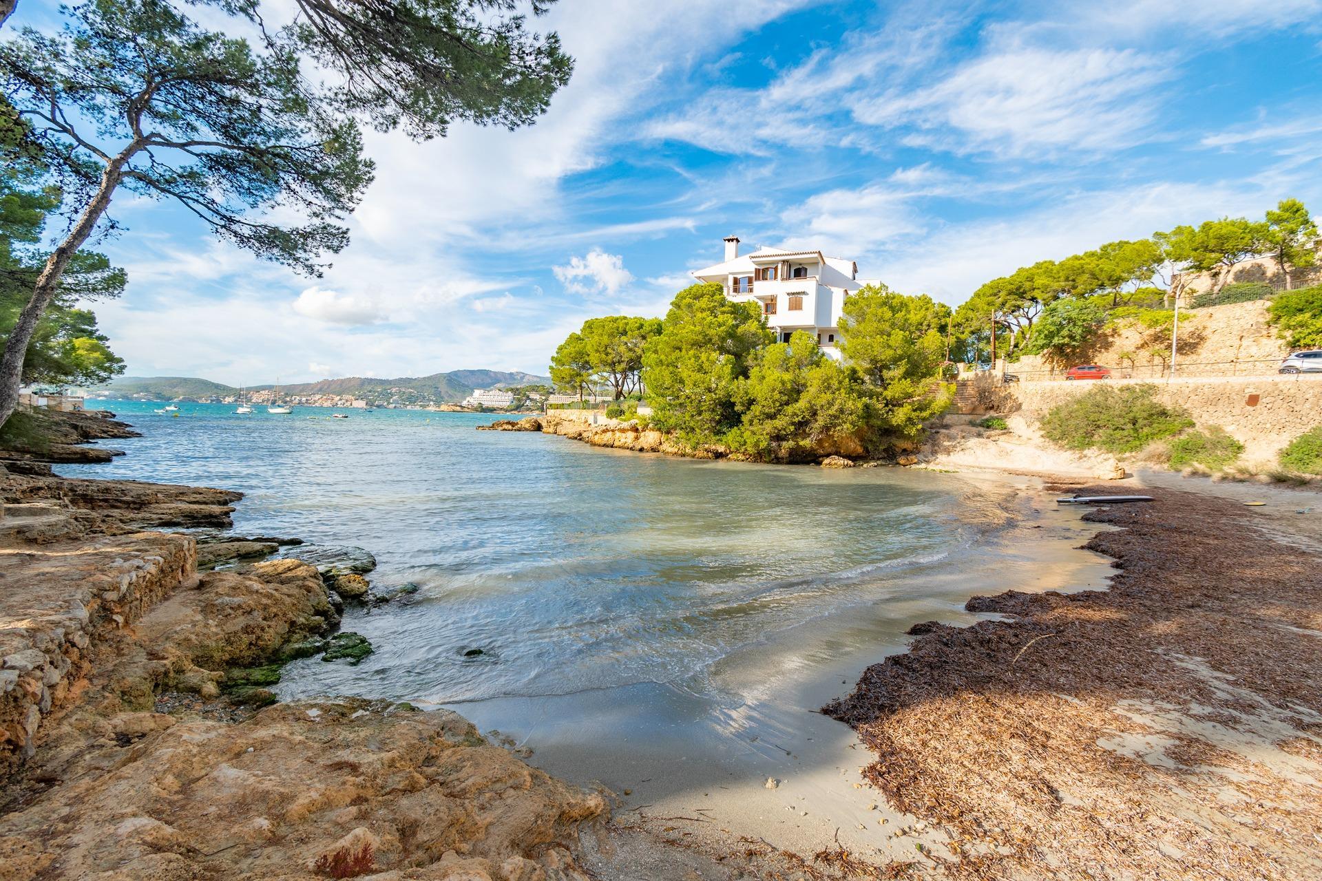 Pisos-Venta-CalviÃ -1994370-Foto-22