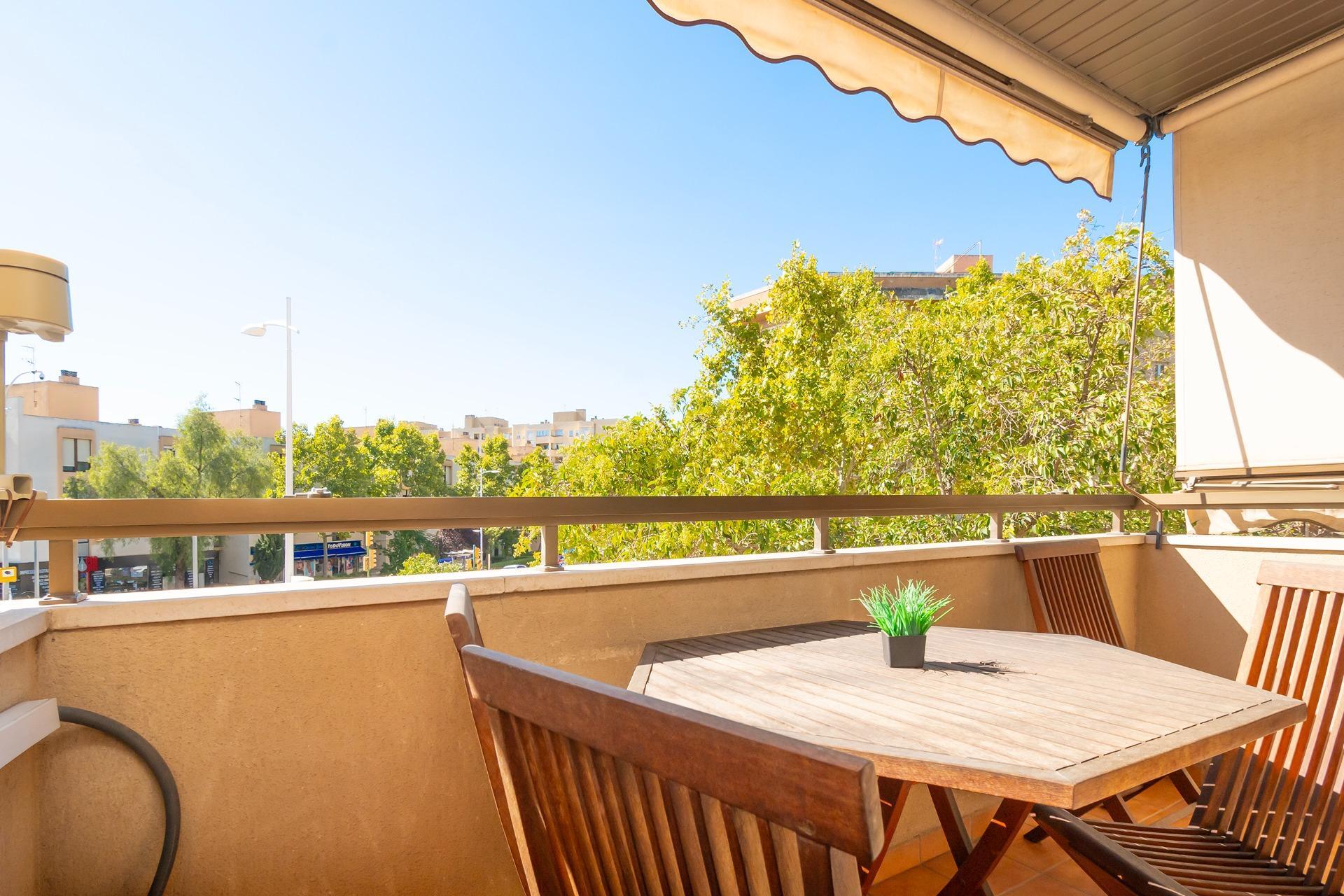 Pisos-Venta-Palma de Mallorca-1994519-Foto-3