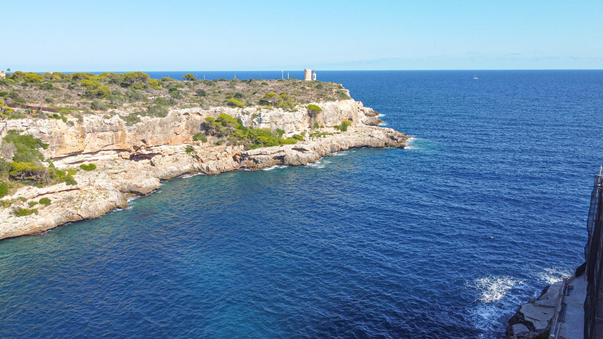 Negocios-Venta-SantanyÃ-1905087-Foto-19