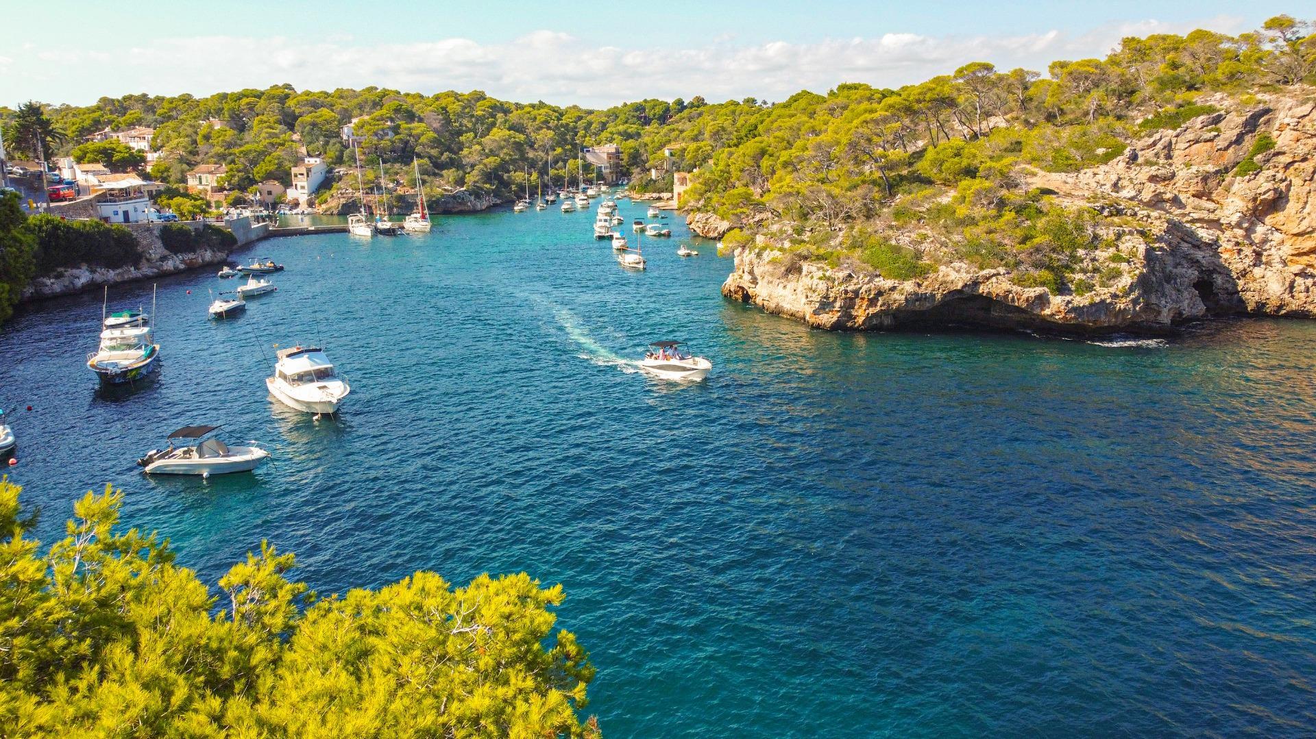 Negocios-Venta-SantanyÃ-1905087-Foto-18