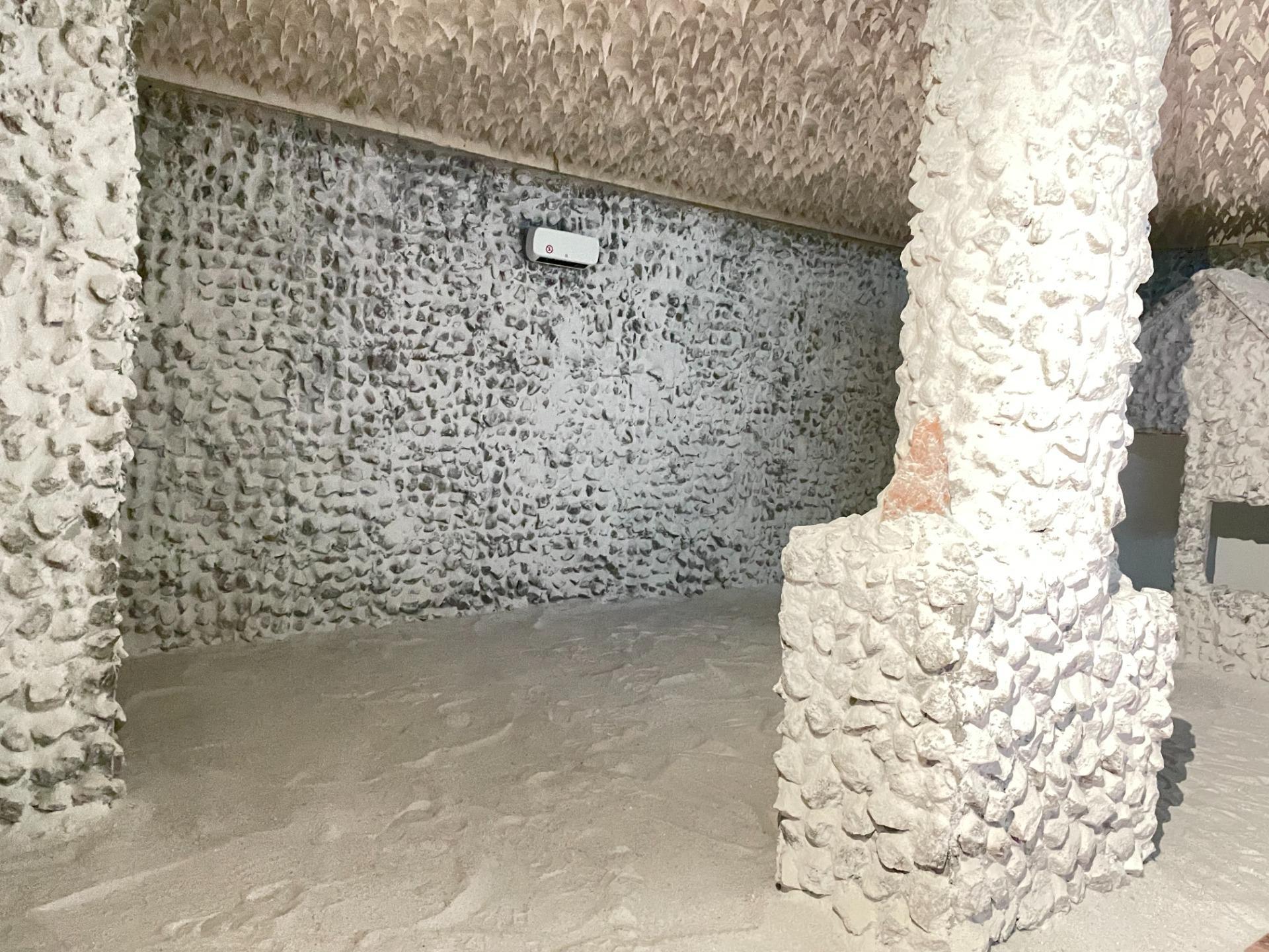 Negocios-Venta-Zaragoza-1942837-Foto-8