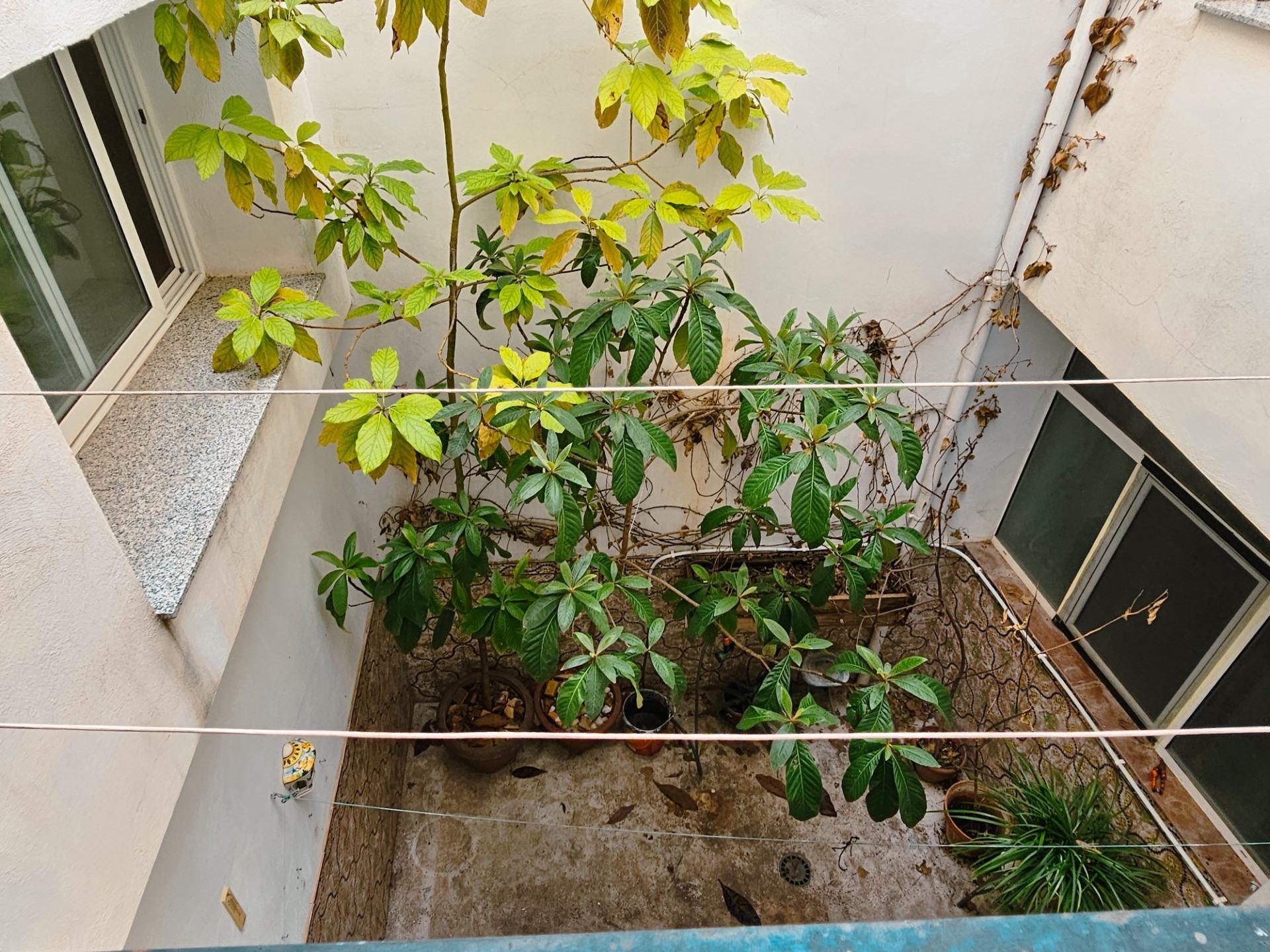 Casas o chalets-Venta-La Pobla del Duc-1935628-Foto-36