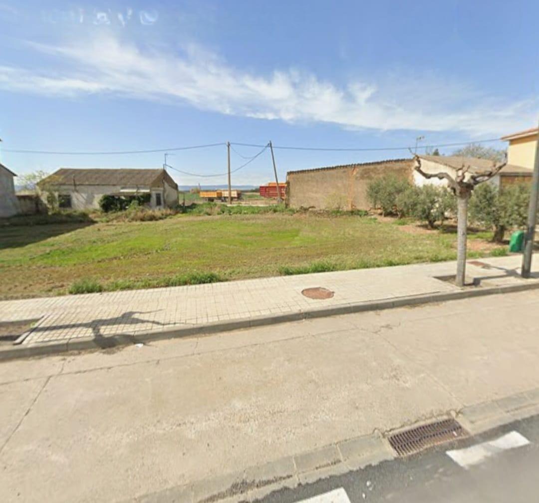 Fincas y solares-Venta-SariÃ±ena-1901079-Foto-3