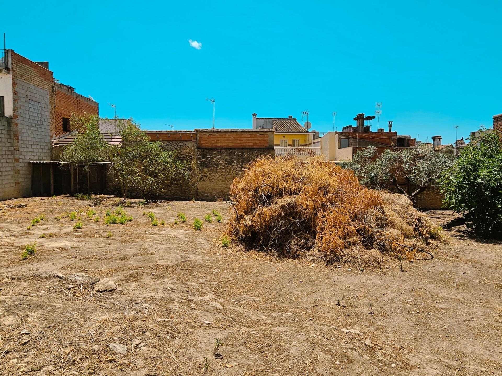 Pisos-Venta-La Llosa de Ranes-1793336-Foto-44