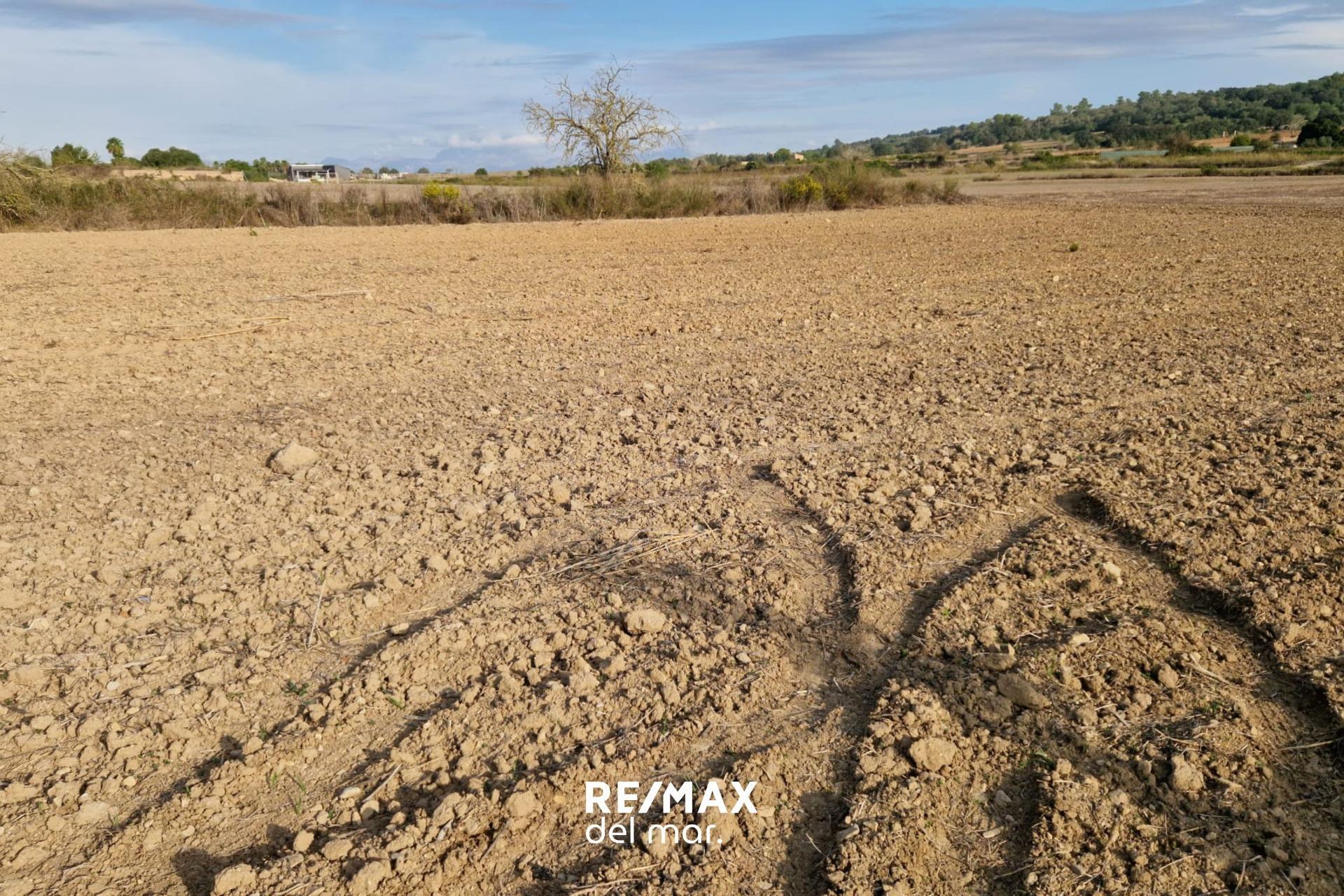 Fincas y solares-Venta-Porreres-1935646-Foto-3