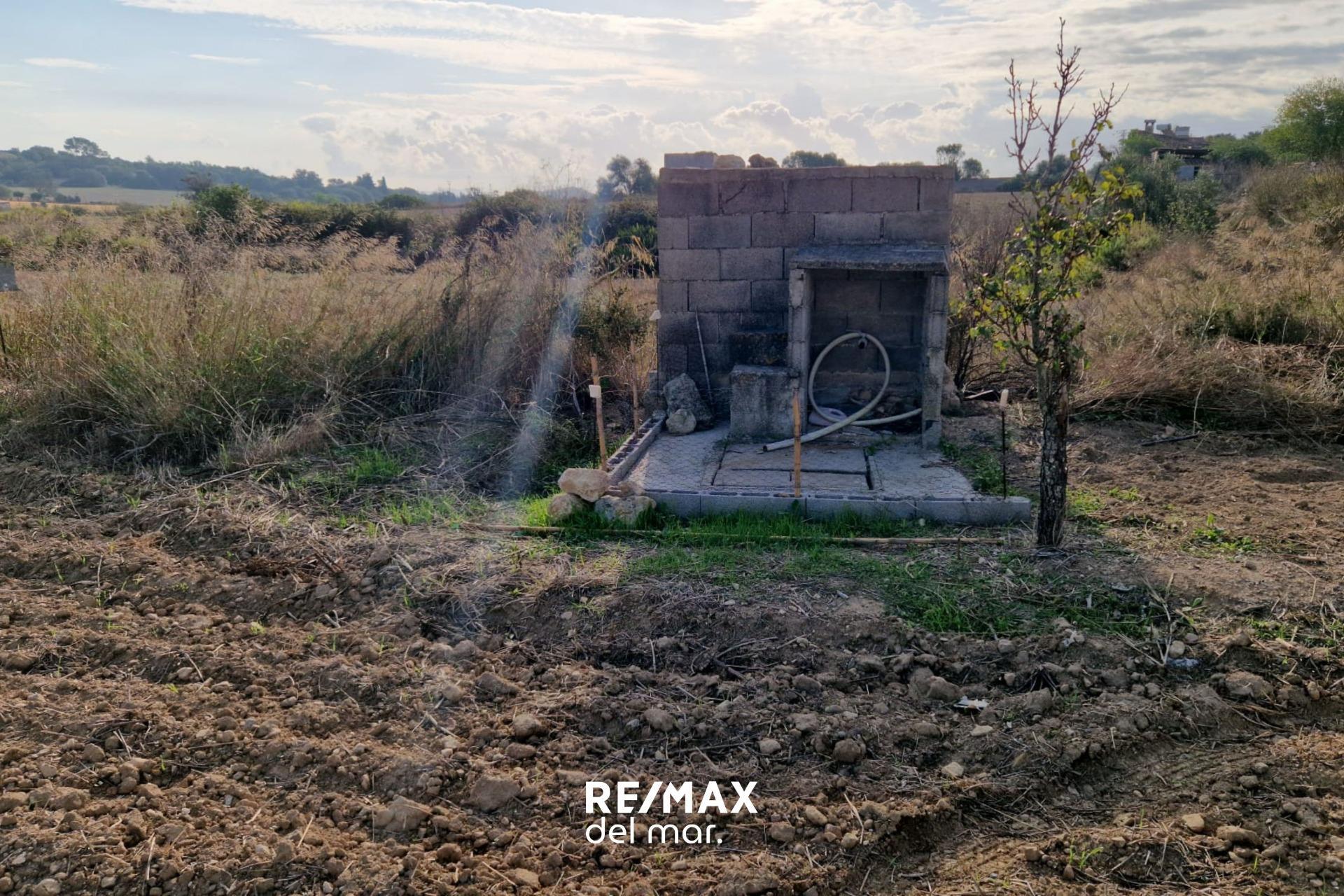 Fincas y solares-Venta-Porreres-1935646