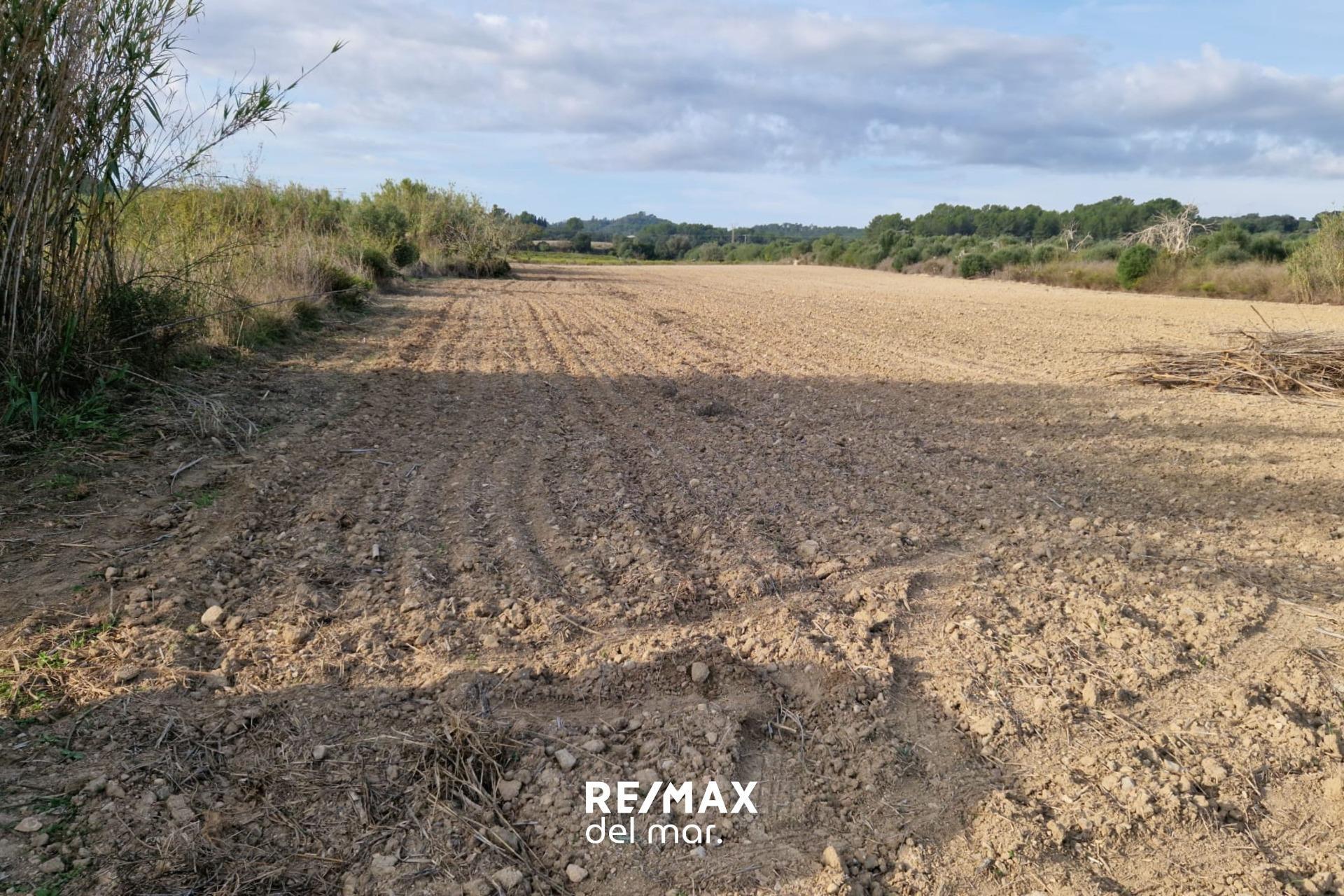 Fincas y solares-Venta-Porreres-1935646-Foto-8