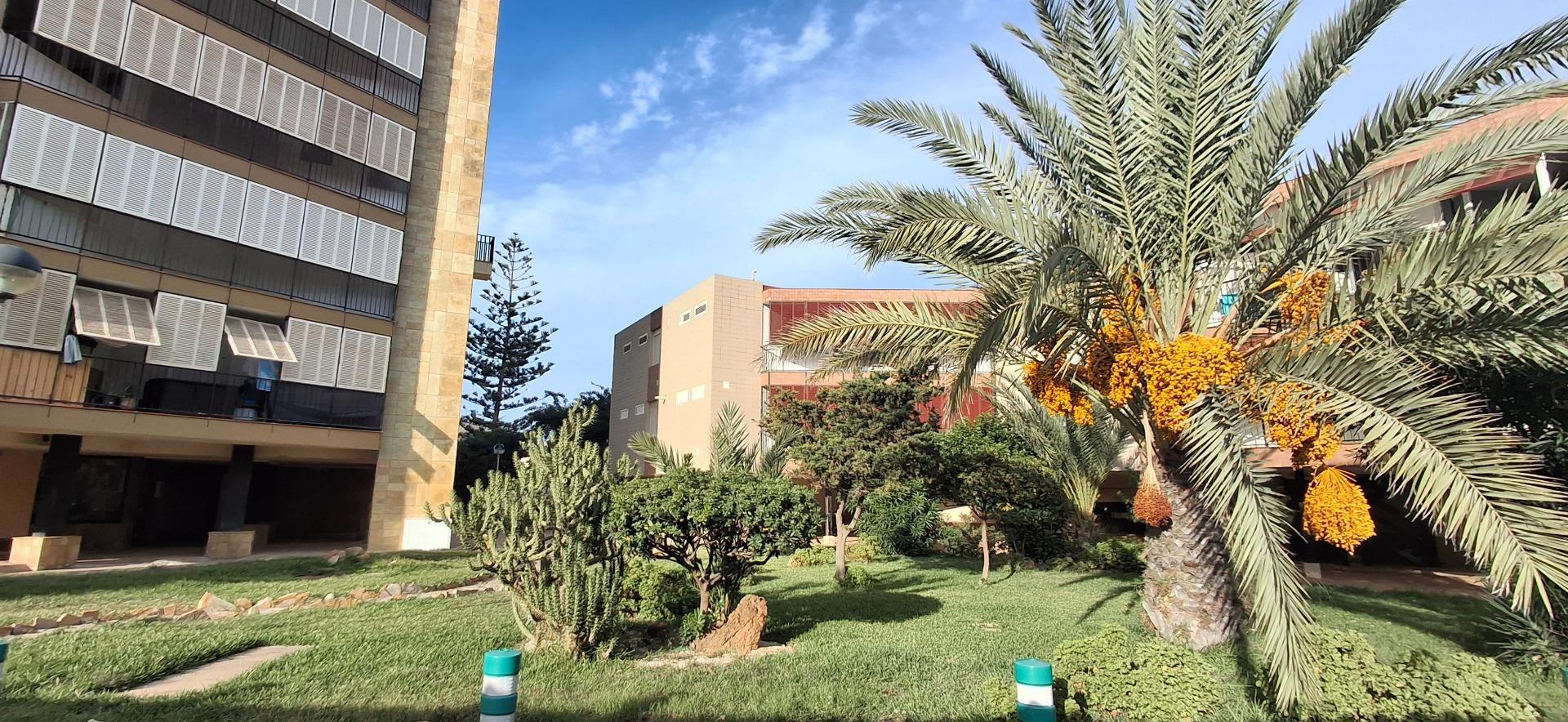 Pisos-Venta-La Manga-1994525-Foto-3