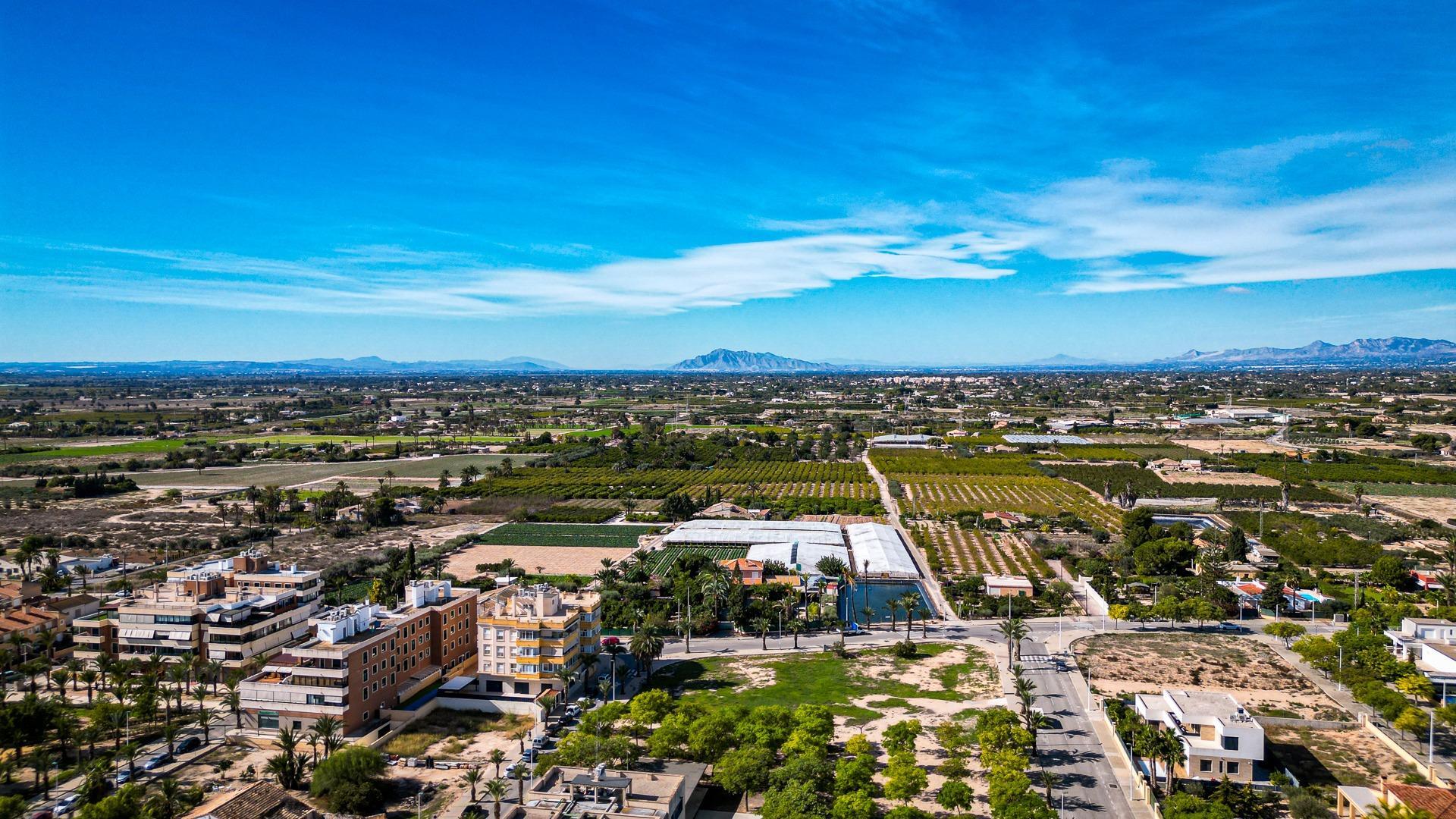Negocios-Venta-Elche-1935652-Foto-10