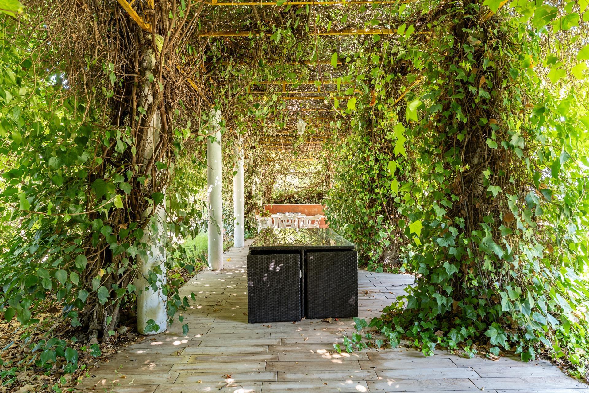 Casas o chalets-Venta-Rute-1658263-Foto-5