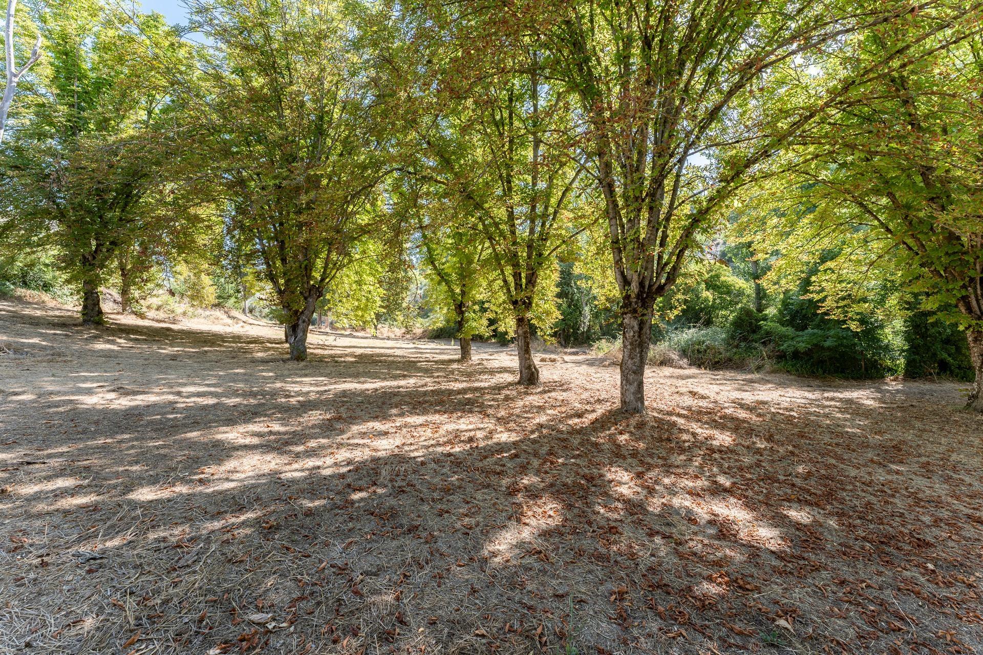 Casas o chalets-Venta-Rute-1658263-Foto-9