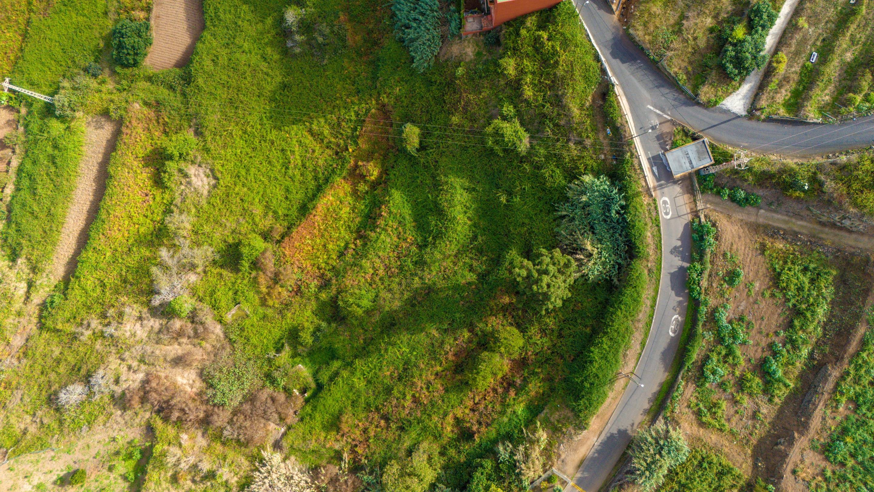 Fincas y solares-Venta-Los Realejos-1712843-Foto-2