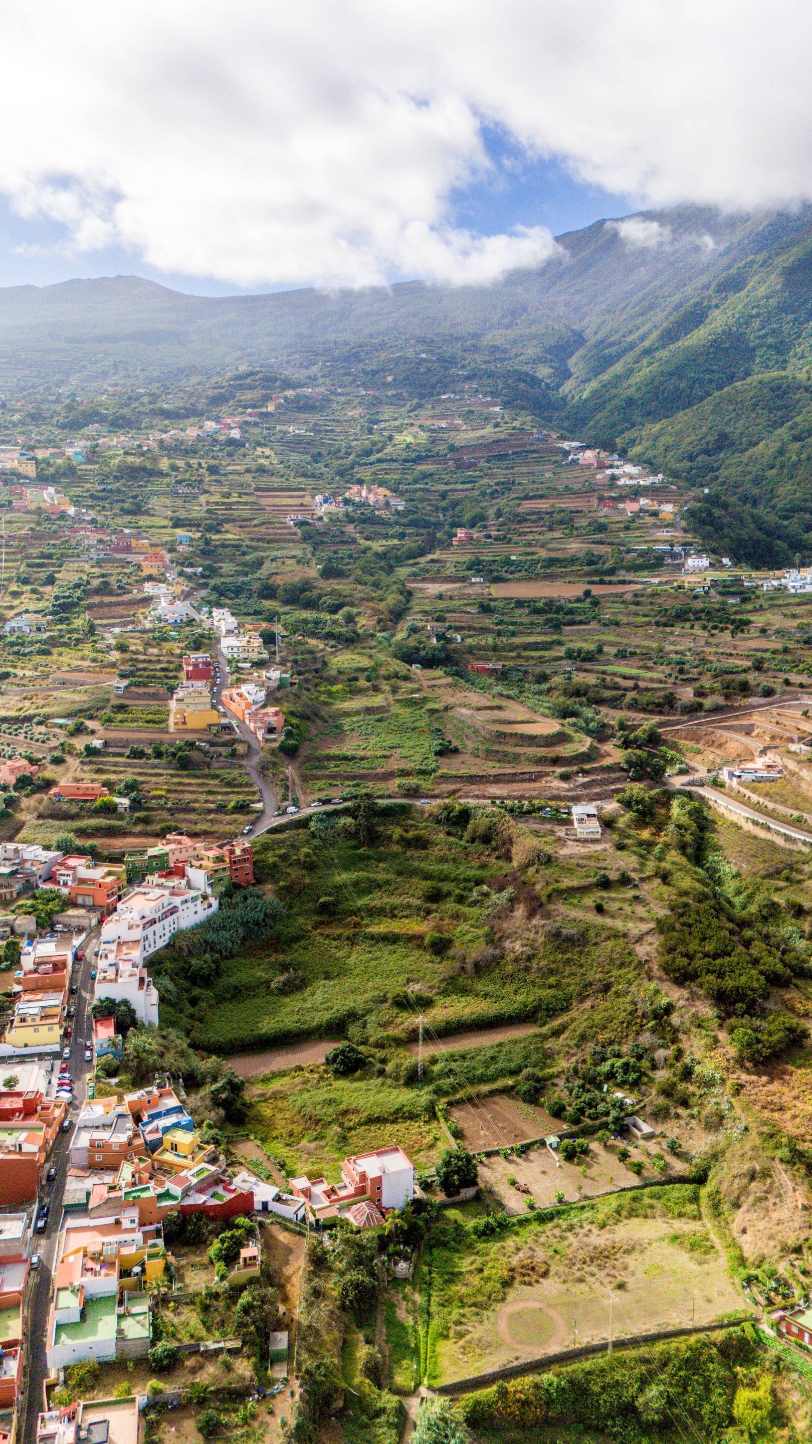 Fincas y solares-Venta-Los Realejos-1712843-Foto-8