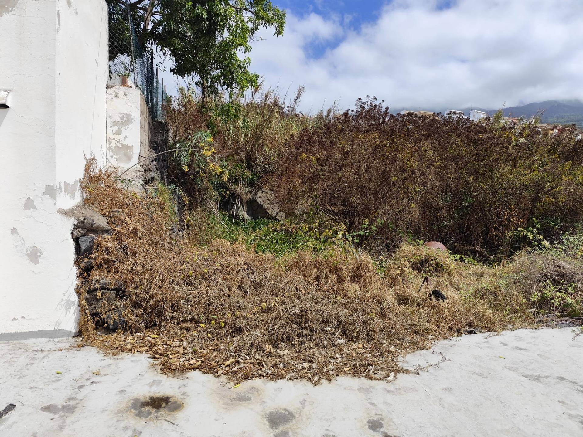 Casas o chalets-Venta-La Matanza de Acentejo-1935661-Foto-11