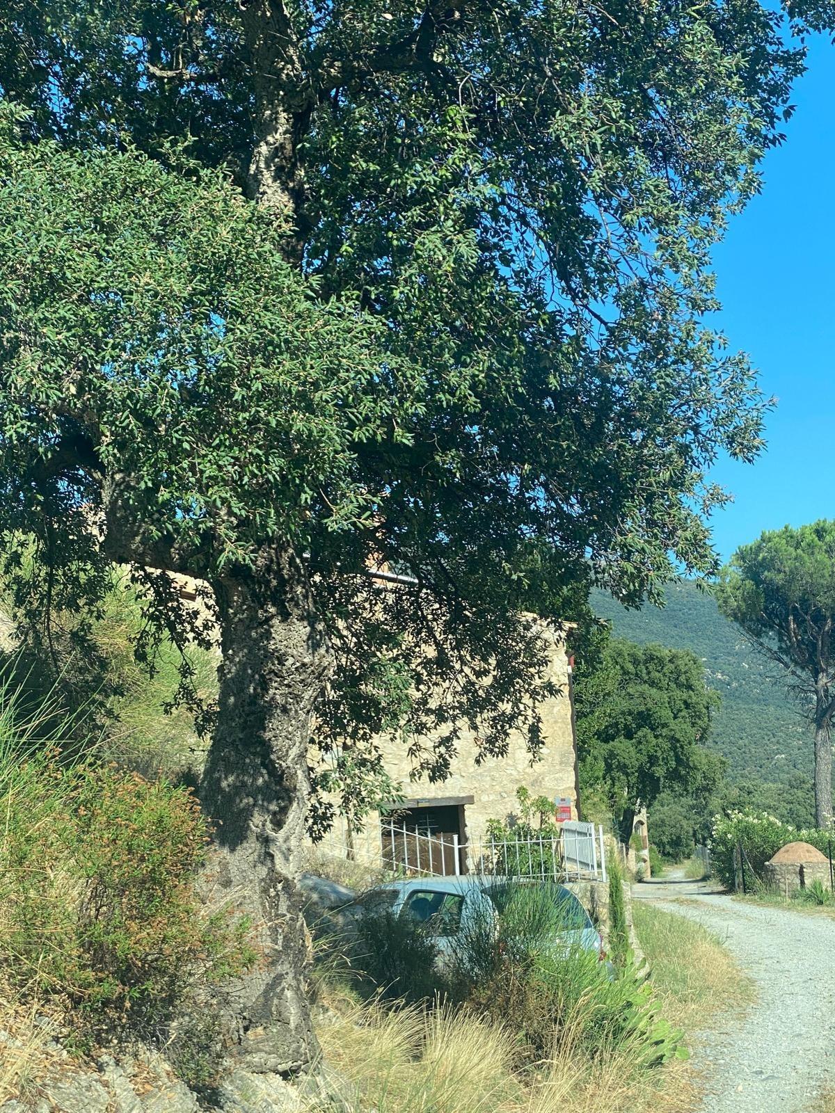 Pisos-Venta-La Jonquera-1935673-Foto-4