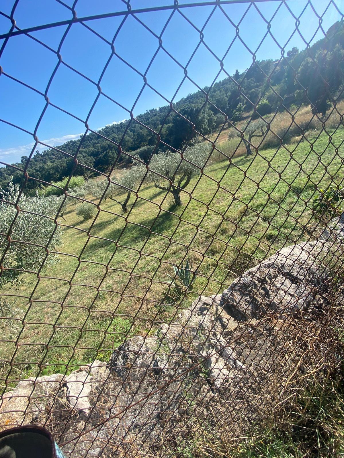 Pisos-Venta-La Jonquera-1935673-Foto-7