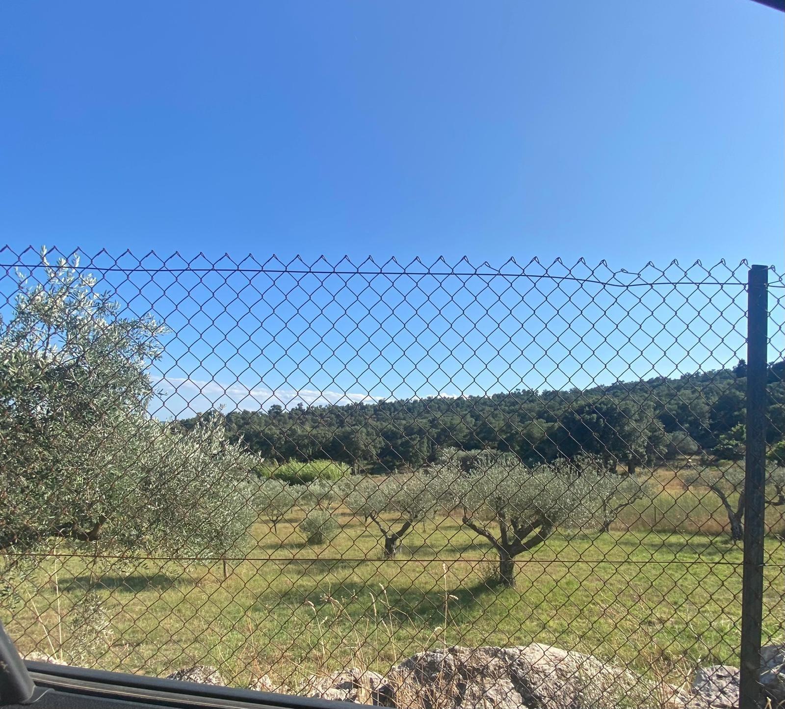 Pisos-Venta-La Jonquera-1935673-Foto-6