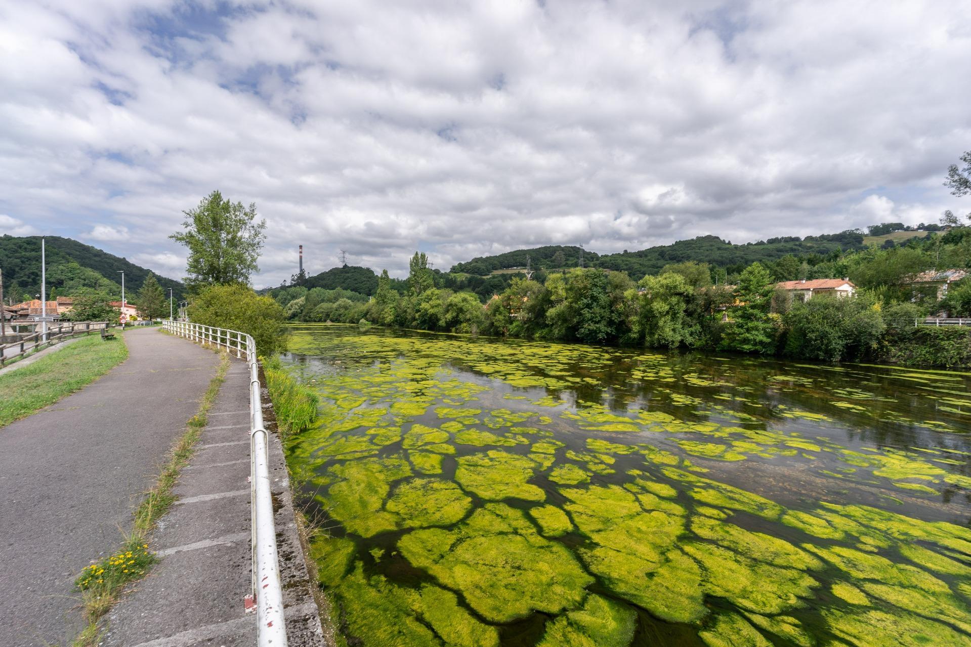 Casas o chalets-Venta-Ribera de Arriba-1830429-Foto-48