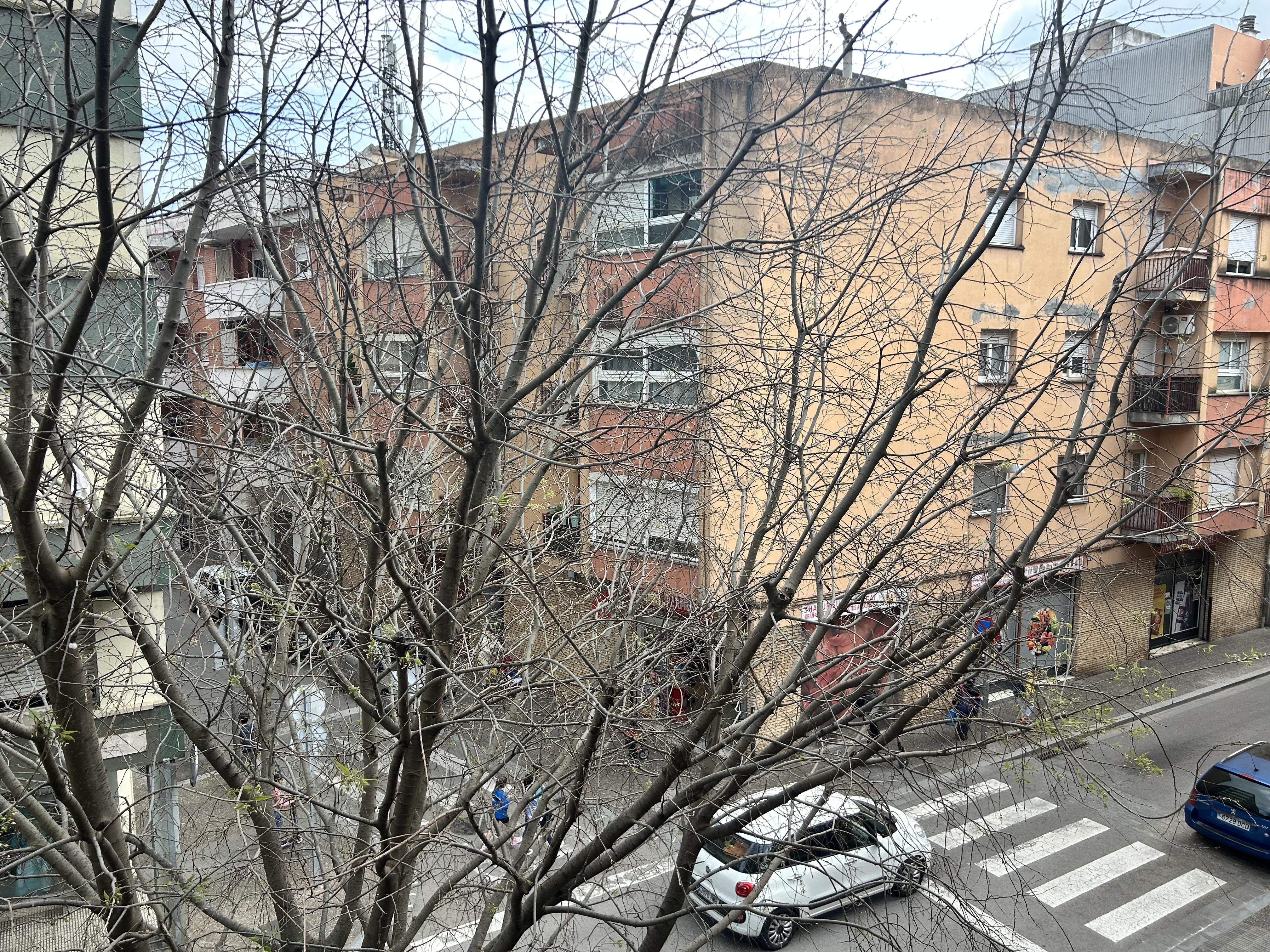 Pisos-Venta-Girona-1941486-Foto-11