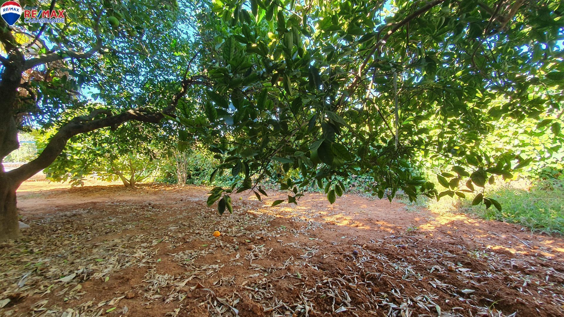 Casas o chalets-Venta-Espartinas-1424078-Foto-52