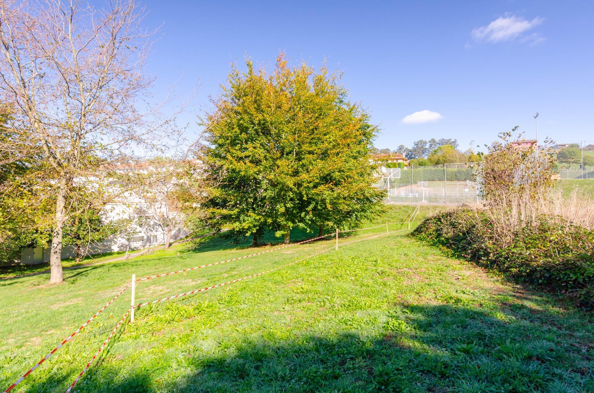 Fincas y solares-Venta-Llanera-1941513-Foto-20