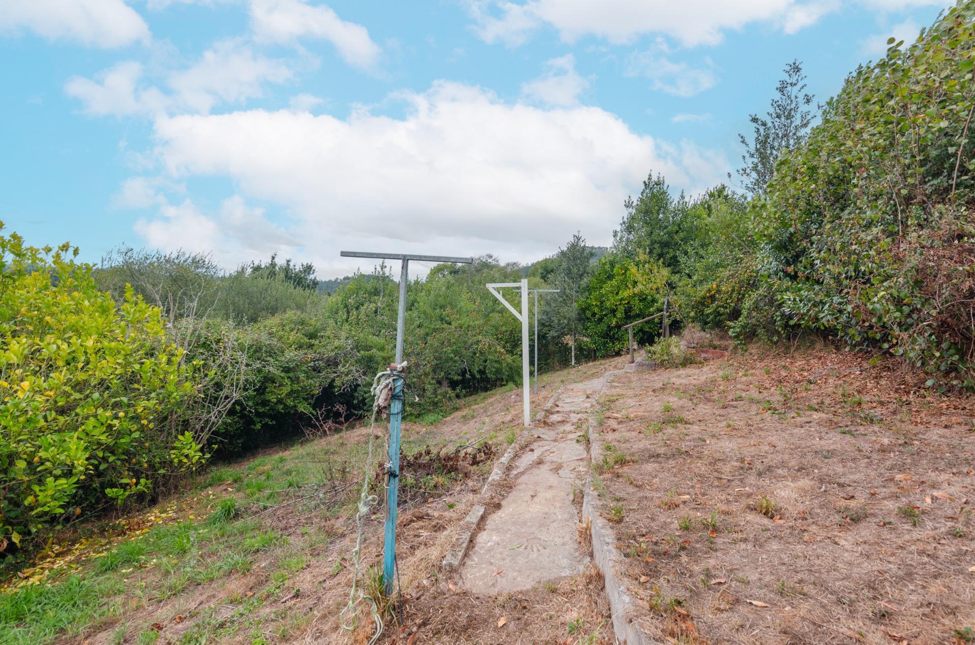 Casas o chalets-Venta-Cabranes-1867135-Foto-34