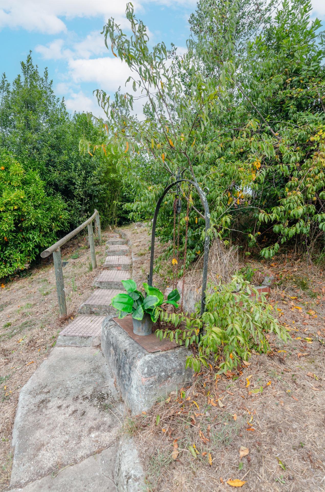 Casas o chalets-Venta-Cabranes-1867135-Foto-32