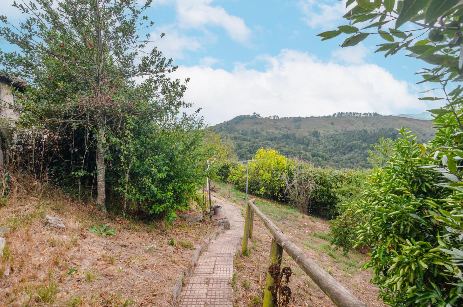 Casas o chalets-Venta-Cabranes-1867135-Foto-33