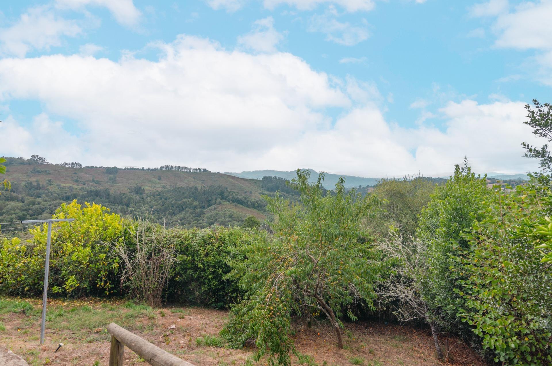 Casas o chalets-Venta-Cabranes-1867135-Foto-36