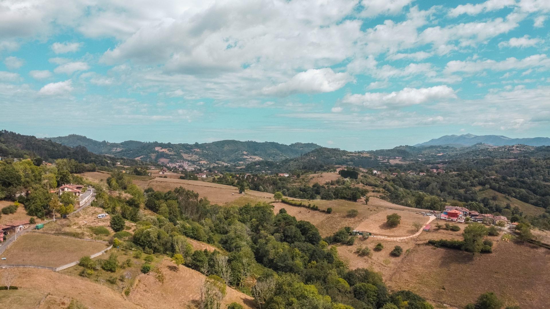 Casas o chalets-Venta-Cabranes-1867135-Foto-43