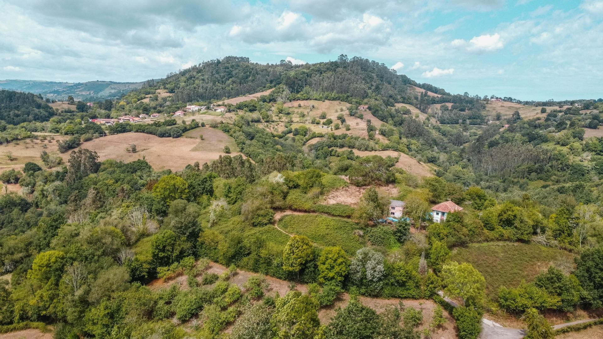 Casas o chalets-Venta-Cabranes-1867135-Foto-45